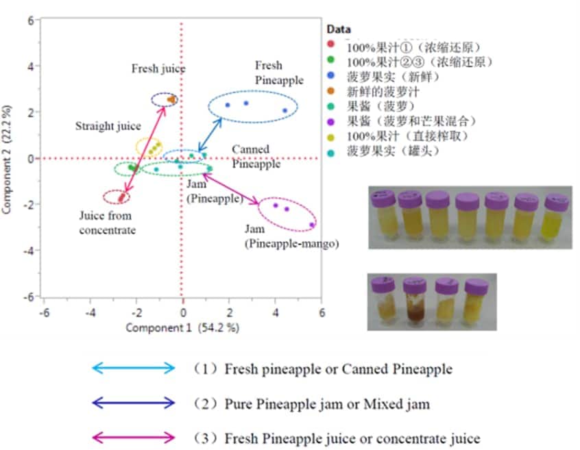 图4 不同菠萝制品的主成分分析