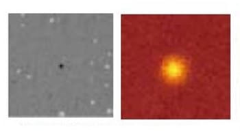 NMC正极材料背面的SUS颗粒异物分析结果 (透射X射线图像以及Fe的XRF图像）