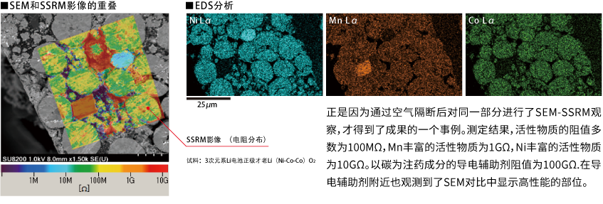 三元系锂离子二次电池 正极材料Li（Ni-Mn-Co）O2  SEM-AFM空气隔断相关的测定事例