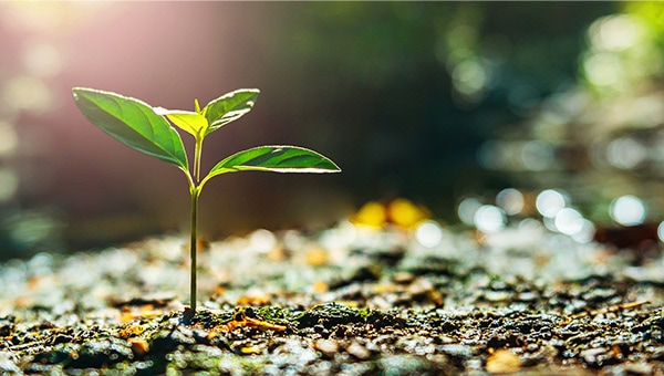 Hitachi High-Tech’s Sustainability