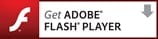 Download Adobe Flash Playe