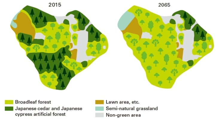 image：Vision for the Woodland of Hitachi High-Tech Science (changes in distribution of vegetation)