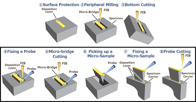 Figure 1: The Entire Micro-Sampling® Procedure