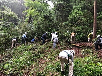 Forest maintenance work by participants