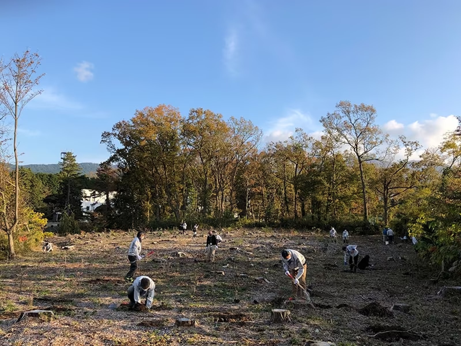 (Work) = Employee volunteers working hard at planting trees
