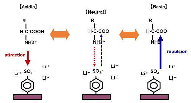 Fig.5 Amino acid separation