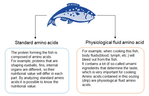 Standard amino acids and Physiological fluid amino acid