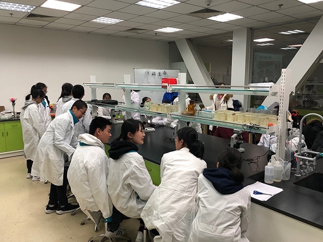 Students preparing samples