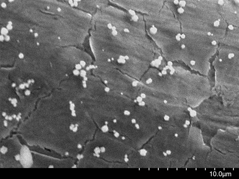 Electron micrograph of a palladium-plated surface（without surfactant）