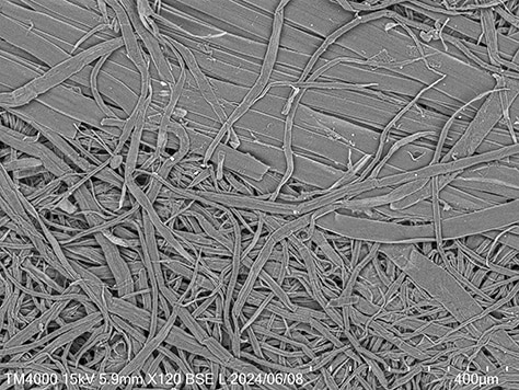 Electron microscope image(paper surface before applying kakishibu)