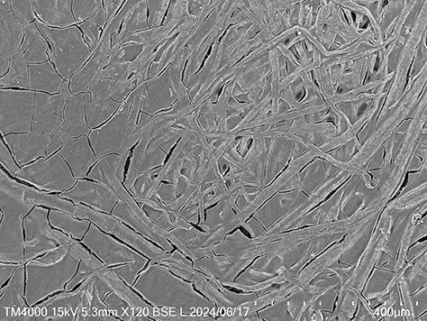Electron microscope image(paper surface after applying multiple layers of kakishibu)