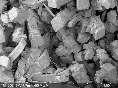 An electron-microscope image(Copper alaninate crystals)