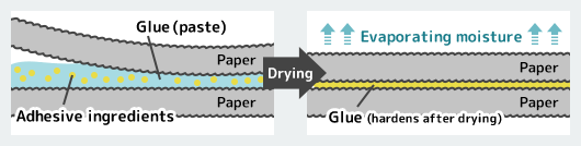 How does starch glue stick paper?