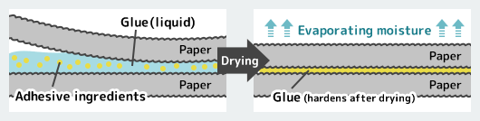 How does liquid glue stick paper?