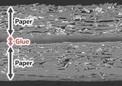 Electron microscope image