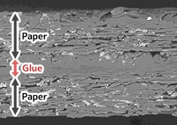 Electron microscope image