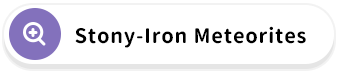 Stony-Iron Meteorites