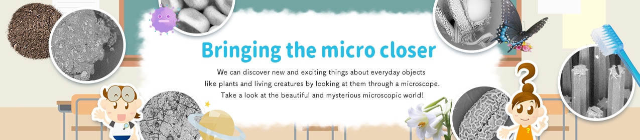 Bringing the micro closer.We can discover new and exciting things about everyday objects like plants and living creatures by looking at them through a microscope.Take a look at the beautiful and mysterious microscopic world!