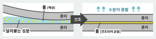 액체풀로 종이가 붙는 원리