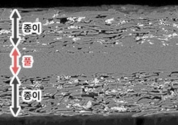 전자현미경 사진