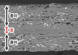 전자현미경 사진