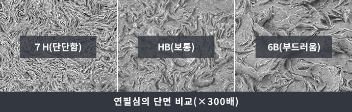 연필심의 단면 비교(×300배)