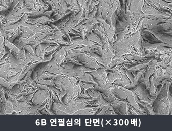 6B 연필심의 단면(×300배)