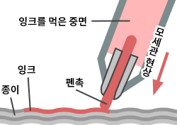 사인펜으로 글씨를 쓰는 원리