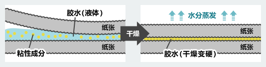 液体胶水粘贴纸张的原理