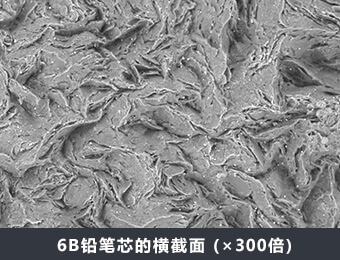 6B铅笔芯的横截面 (×300倍)