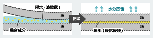 用液體膠水黏貼紙張的原理