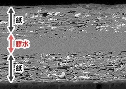 電子顕微鏡画像