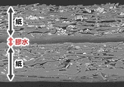 電子顕微鏡画像