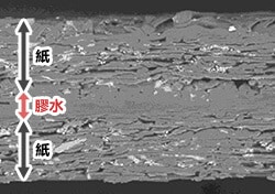 電子顯微鏡照片