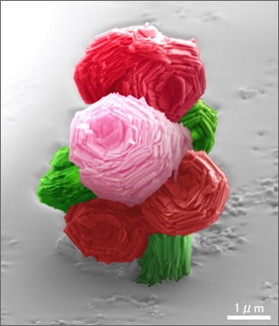 Micro Bouquet