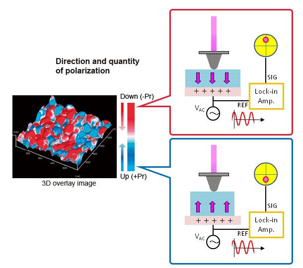 Piezo‐Response Microscope (PRM)