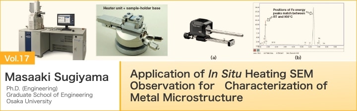 Application of In Situ Heating SEM Observation for Characterization of Metal Microstructure