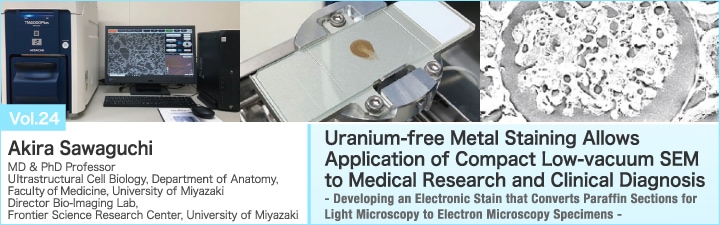 Uranium-free Metal Staining Allows Application of Compact Low-vacuum SEM to Medical Research and Clinical Diagnosis - Developing an Electronic Stain that Converts Paraffin Sections for Light Microscopy to Electron Microscopy Specimens -