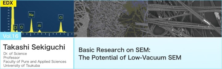 Basic Research on SEM: The Potential of Low-Vacuum SEM
