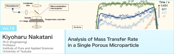 Analysis of Mass Transfer Rate in a Single Porous Microparticle