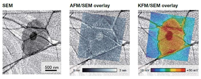 AFM5500M AFM morphology image