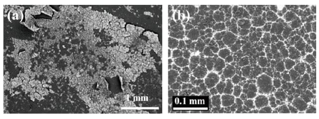 Fig. 2 Secondary-electron images of the inner furnace walls at the pyrolysis stage (a) with Ca modifiers and (b) with Fe modifiers. Black and white regions correspond respectively to exposed regions of the graphite surface and regions covered by modifiers.