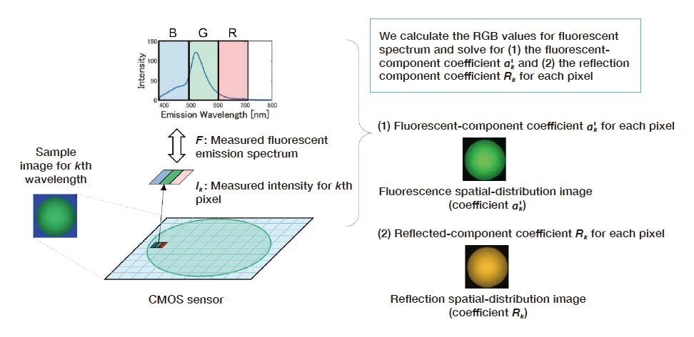 Fig. 5 Imaging method for reflection- and fluorescent-component distributions for target sample