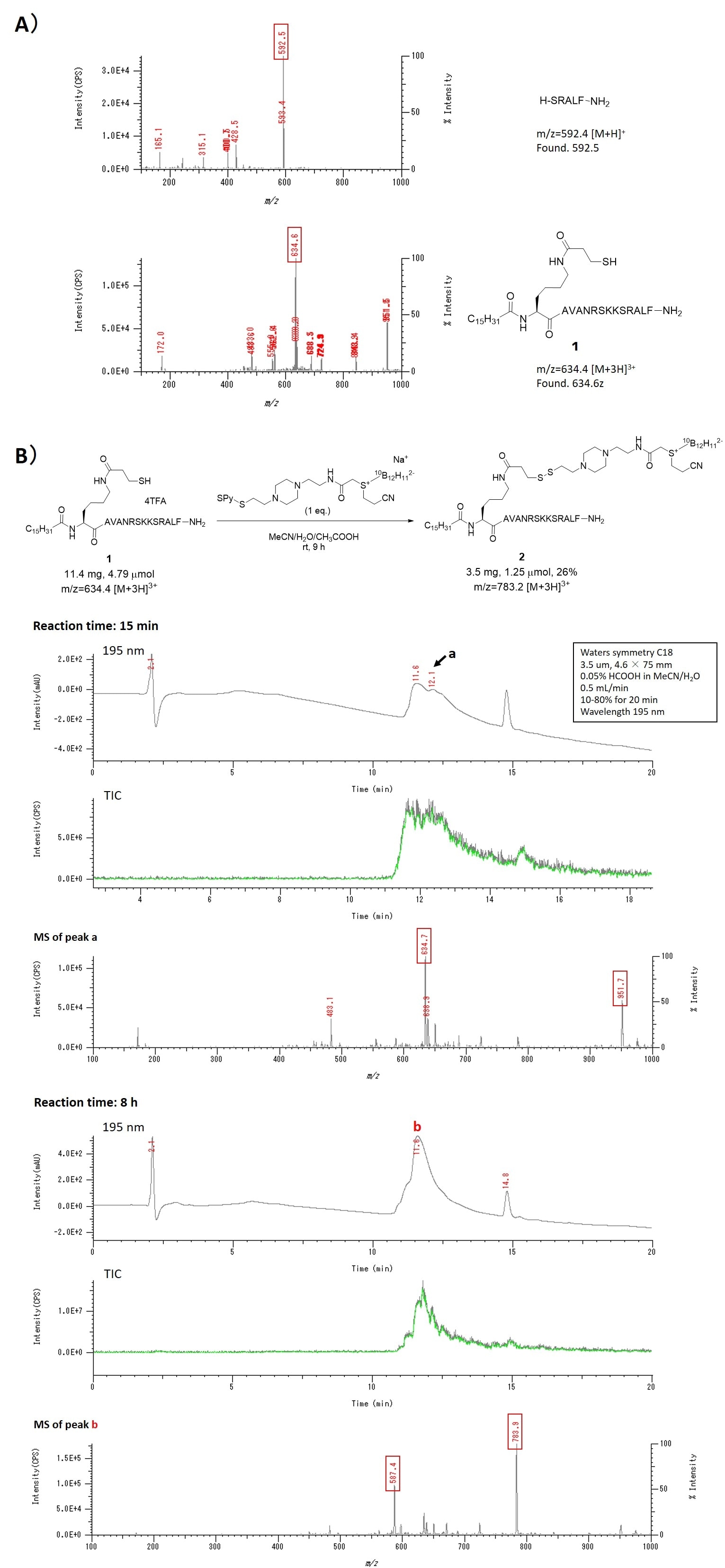 Fig. 4　A) Results of direct infusion MS analysis of crude products of SPPS. B) LC-MS analysis of the reaction from compound 1 to compound 2.