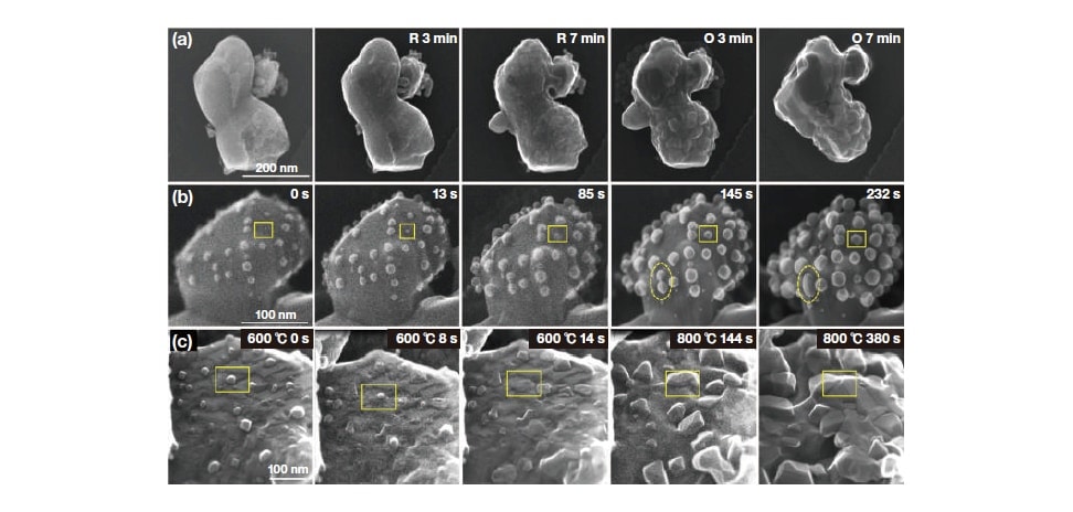 Fig. 3　In situ STEM images of SFMC before reduction, after reduction, and re-oxidation. (a) Secondary electron microscopy images of a reduction/re-oxidation cycle at 800 °C; R means reduction, and O means oxidation. (b) Secondary electron microscopy images of a typical area in 10 Pa of H2 supplied at 800 °C and (c) secondary electron microscopy images of a typical area with 10 Pa of O2 supplied at 600 °C for 22 s, then increasing from 600 to 800 °C with a heating rate of 5 °C s-1 and then stay at 800 °C. Time begins after supplying O2
toward the sample. Reproduced with permission9). Copyright 2020, Wiley.