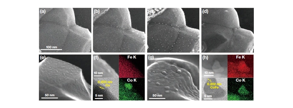 Fig. 4　In situ SE-STEM images of LSCFM: (a) before reduction, (b) after reduction in 10 Pa of H2 supplied at 600 °C, (c) after reduction in 10 Pa H2 supplied at 700 °C and (d) after re-oxidation in 10 Pa O2 supplied at 700 °C. (e, f) In situ SE, DF and BF-STEM images and the corresponding elemental maps of LSCFM after reduction at 600 °C. (g, h) In situ SE, DF and BF-STEM images and the corresponding elemental maps of LSCFM after reduction at 700 °C. Reproduced with permission11). Copyright 2020, Wiley.