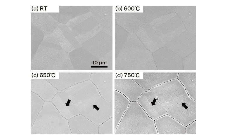 Fig. 4 Secondary electron images captured via in-situ observation of SUS304 sample heated during SEM observations. Arrows indicate twin boundaries.