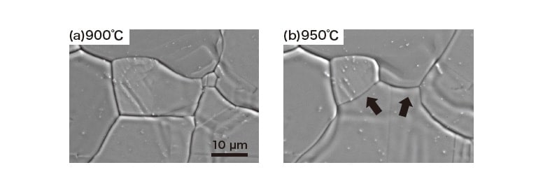 Fig. 9 Secondary electron images acquired by in-situ observation of crystal grain growth at high temperatures.