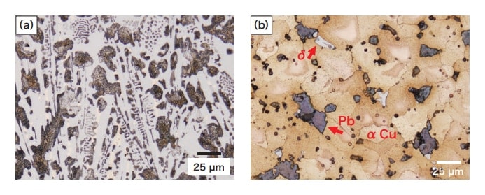 Fig. 2 Optical micrographs of (a) typical cast-iron and (b) bronze areas of specimen.
