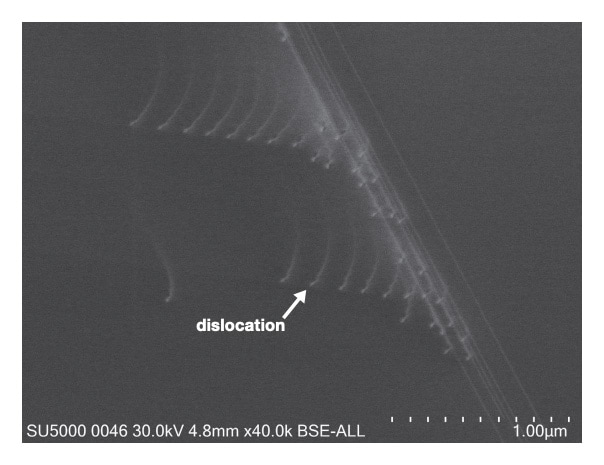 Fig. 1 Dislocations in silicon observed via SEM-ECCI.